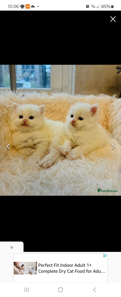 2 days till 1 of these 2 joins the household