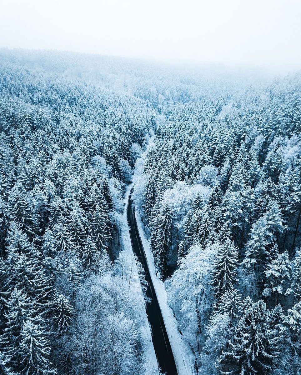 earthcurated's tweet photo. — winter wonderland ❄️ https://t.co/kfOJhrNE7U