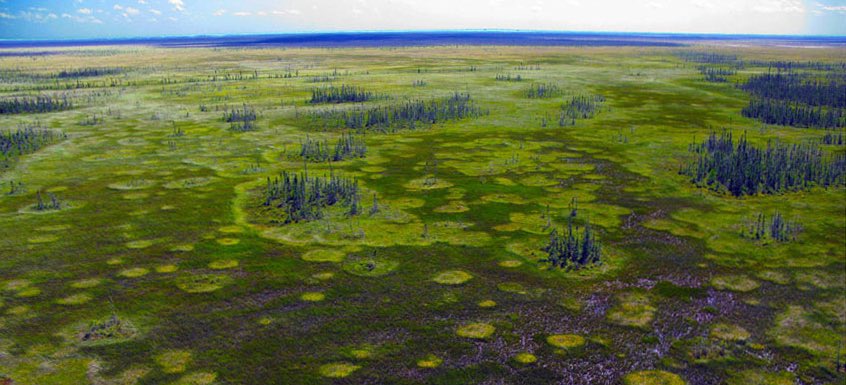 Andrew Werthmann tweet media