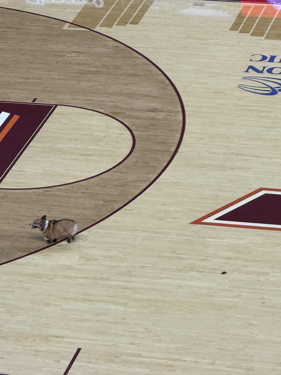 Robert Randall tweet media