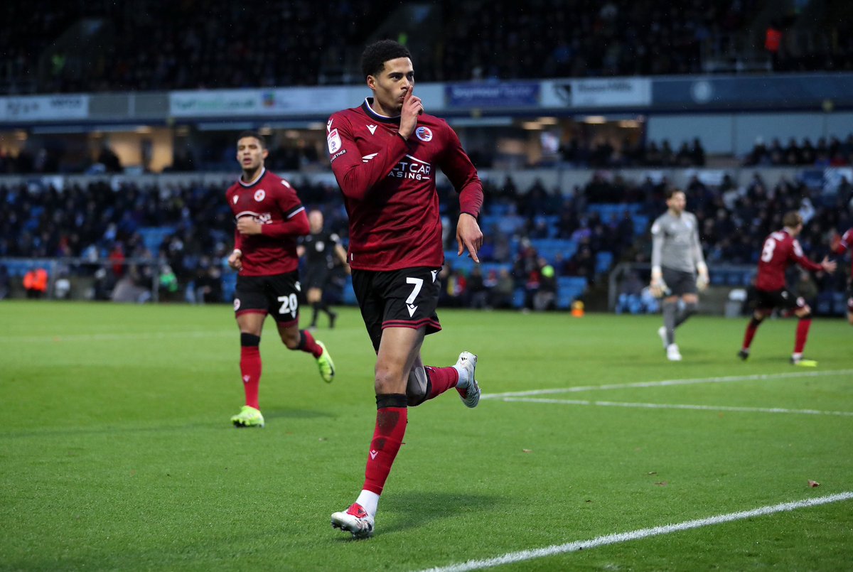 Harvey Knibbs tweet media