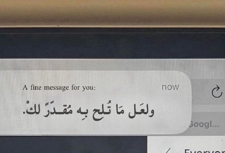 amlri_'s tweet photo. https://t.co/AUnQFa7KNy