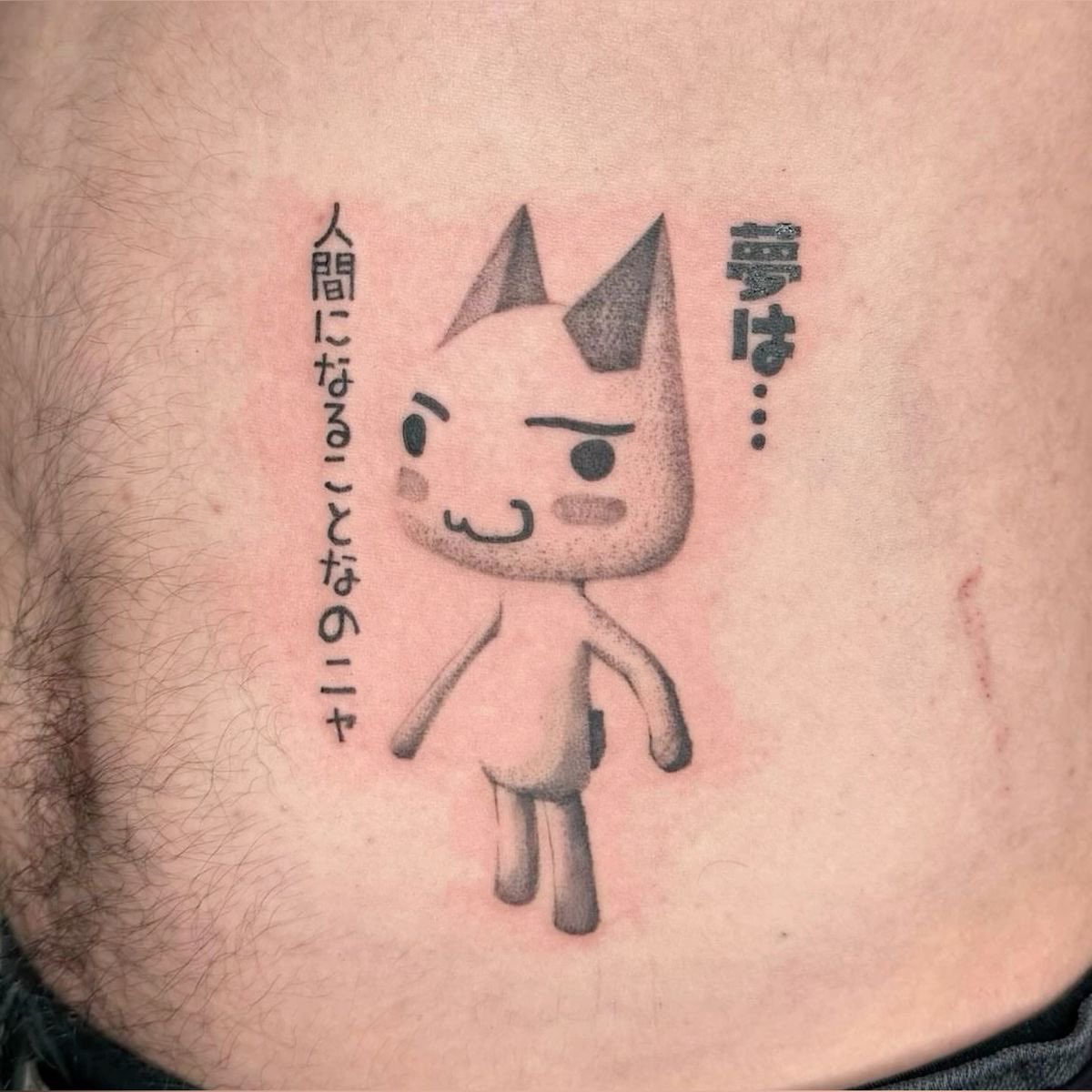 ToroInoue_SOL's tweet photo. Based Chad MEW🐾😗   #TORO https://t.co/kJ5t2EoeNE