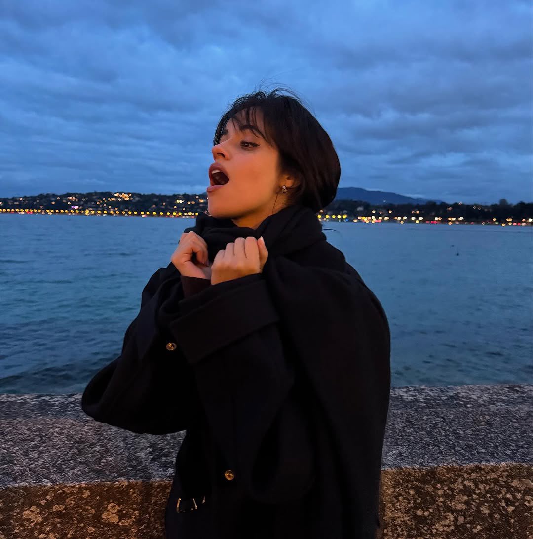 camila tweet media