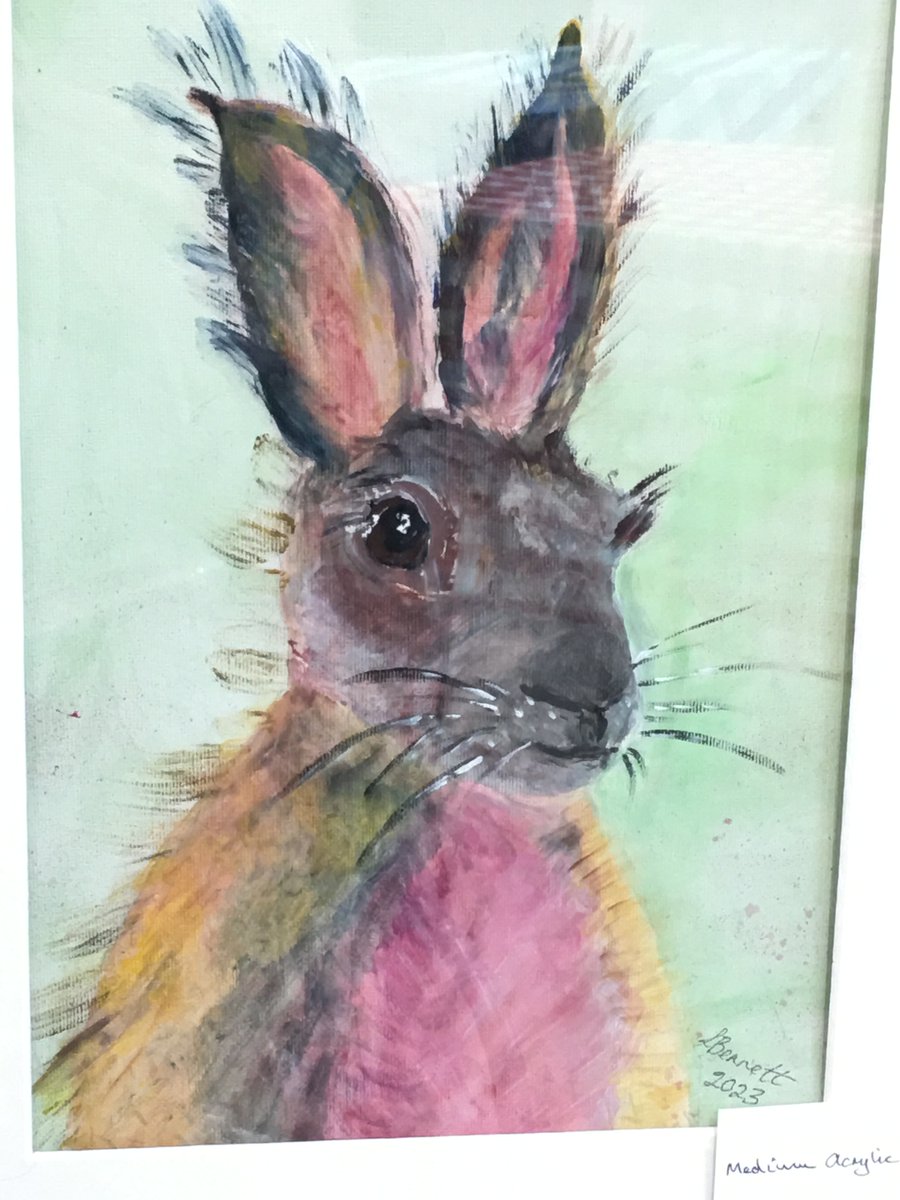 Hare picture <a href="/hare/">ǝɹɐɥ</a>