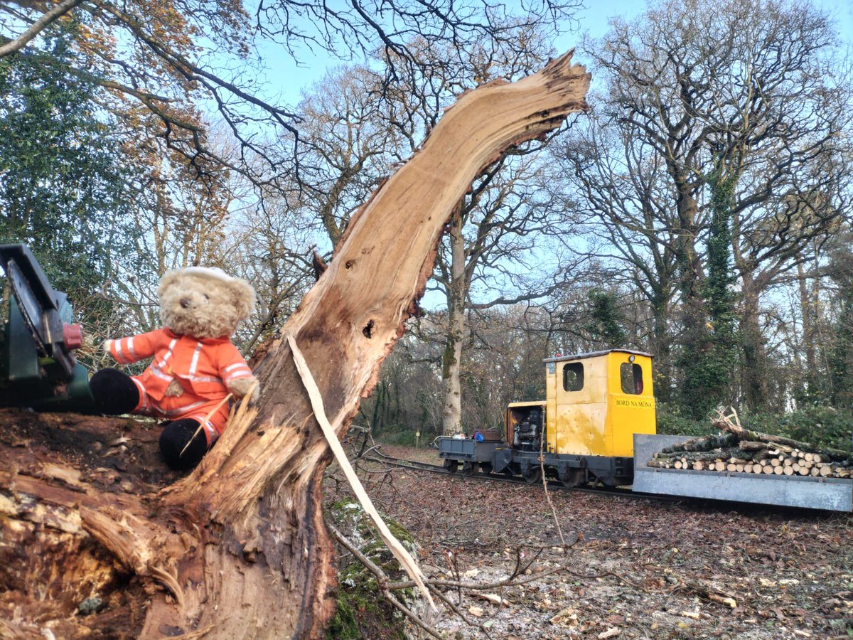 Stradbally Woodland Railway tweet media