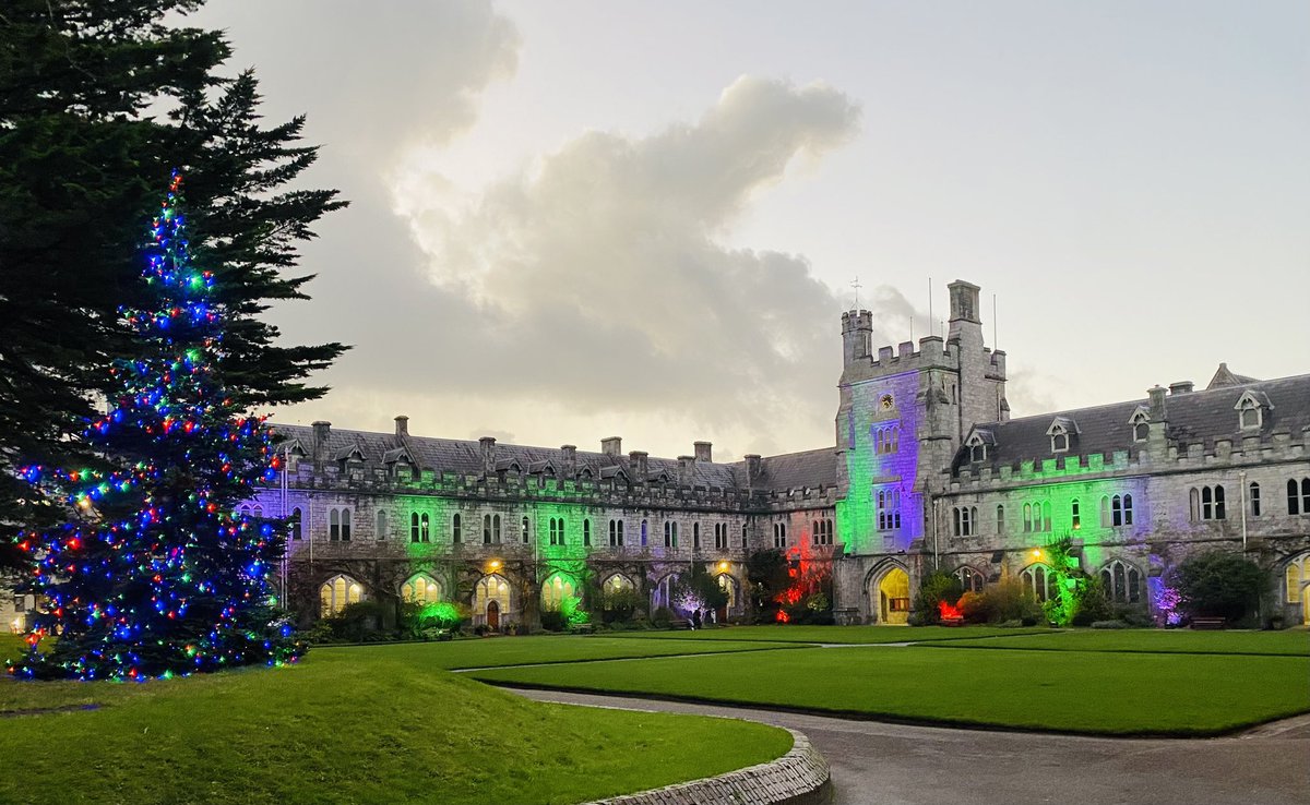 UCC School of Education tweet media