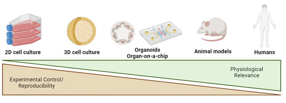 Very excited to tell you about a great review on "Modeling intratumor heterogeneity in breast cancer" This was mainly the work of Liz McDonough from the Corr lab dtcorrlab.squarespace.com in collaboration with <a href="/Fiona_Ginty/">Fiona Ginty</a> and yours truly. doi.org/10.1088/1758-5… <a href="/Biofabrication/">BF</a>