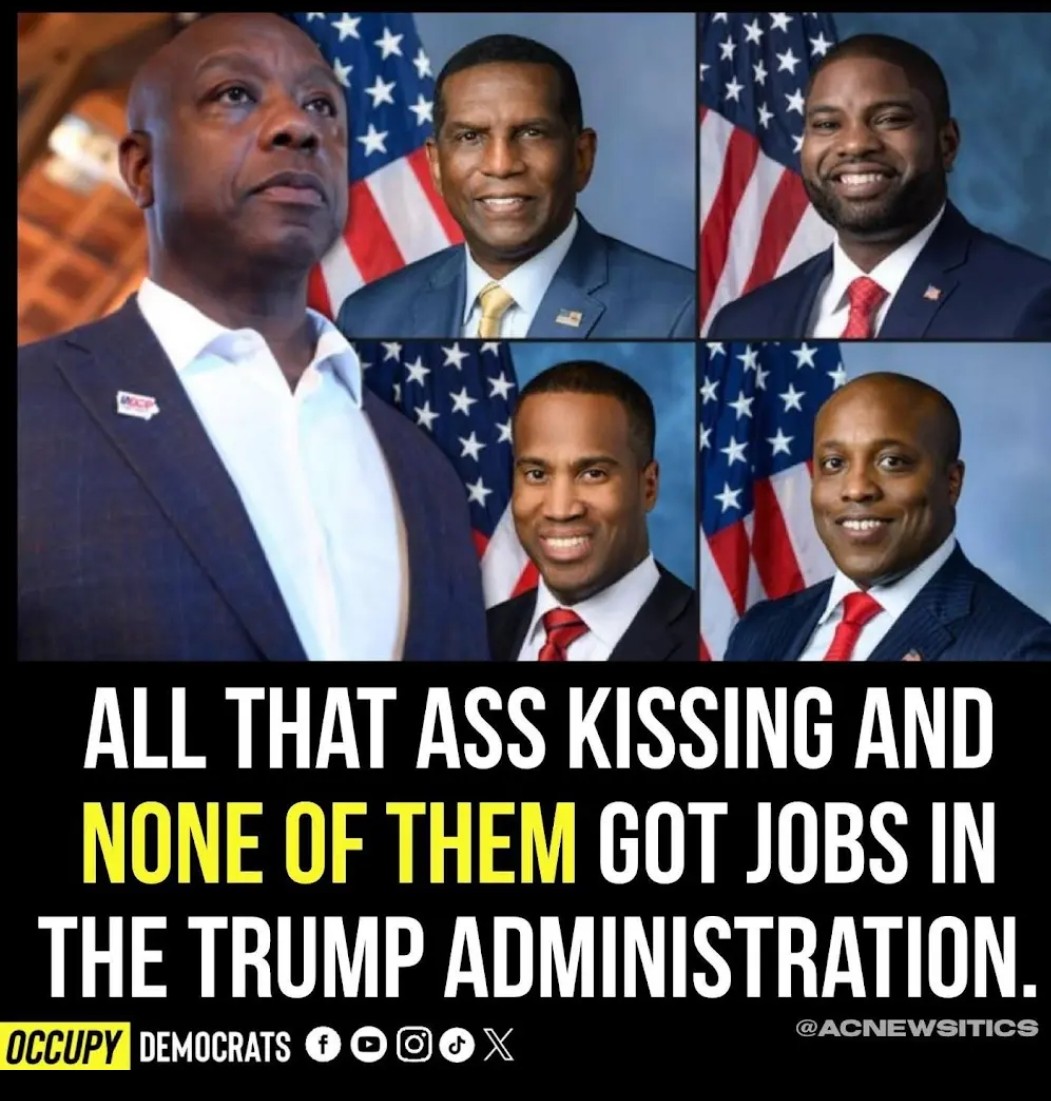 flyassbetty's tweet photo. Uncle Toms ass sellouts https://t.co/mIERvZ7FfE