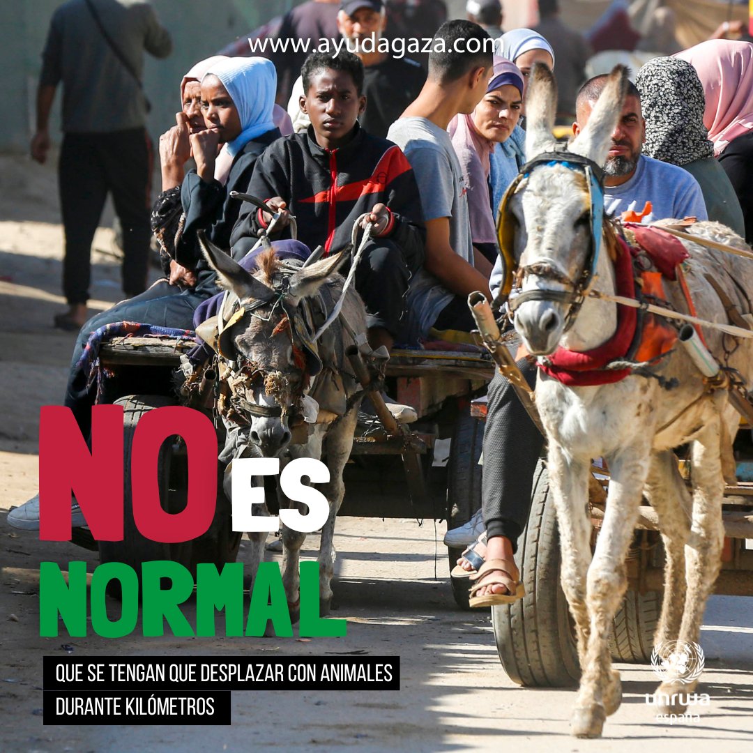 🔴 NO ES NORMAL 🔴

La población de #Gaza se ha visto obligada a desplazarse en múltiples ocasiones y cada vez de manera más precaria por la falta de combustible y la pérdida de vehículos por la violencia.