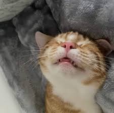 Reminds me of someone
