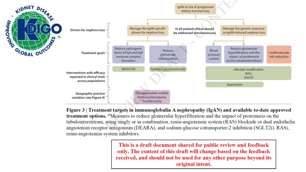 Treatment targets 🎯 in IgA Nephropathy (IgAN) and available to-date approved treatment options from <a href="/goKDIGO/">KDIGO</a> Public Review Draft of Clinical Practice Guideline for the Management of IgAN ca. 2024
#Nephpearls #RKDC 

👉 kdigo.org/guidelines/iga…