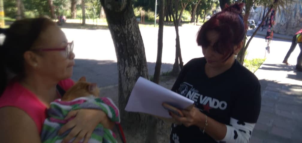 etrejo2017's tweet photo. #07Dic #LosTeques con orientaciones del Gob Elio Serrano a través de SecProtección Animal @maigualidav en coord. con el Sistema de Misiones #Guaicaipuro con @SomosNevado nos acercamos a Plaza la India y se atendieron *89* 🐶😸 con Jornada Gratuita Veterinaria @farith15 https://t.co/1f5PyLphm5