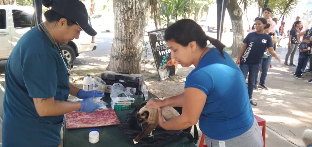 etrejo2017's tweet photo. #07Dic #LosTeques con orientaciones del Gob Elio Serrano a través de SecProtección Animal @maigualidav en coord. con el Sistema de Misiones #Guaicaipuro con @SomosNevado nos acercamos a Plaza la India y se atendieron *89* 🐶😸 con Jornada Gratuita Veterinaria @farith15 https://t.co/1f5PyLphm5