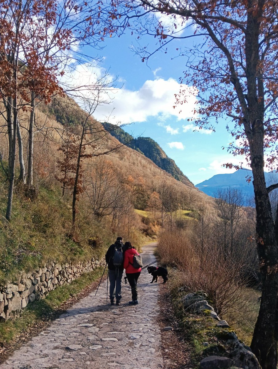 Hemos tenido el privilegio de contemplar en el cielo la presencia de una pareja de águilas reales y de otra de quebrantahuesos.

Regresamos a casa con el corazón ahíto de felicidad y paz, y con la retina llena de mil fotogramas de belleza.

#TrasLasHuellasDeILO #Otoño