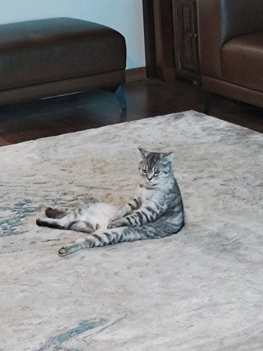 AlphaBlade tweet media