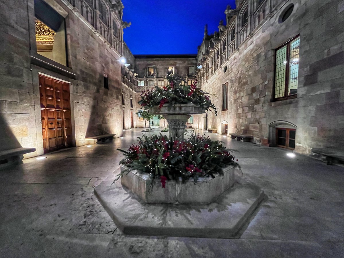 gencat's tweet photo. 🎄 Per Nadal, vine a Palau! No et perdis les jornades de portes obertes:

🗓 14 i 15 de desembre. 12h-20 h. Amb inscripció prèvia.
🗓 Del 16 al 20 de desembre. 17h-21h. Accés gratuït al Pati Gòtic.

https://t.co/wjM55NRb04 https://t.co/Tr3MX6e9zi