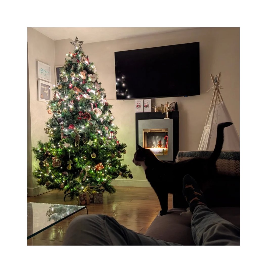 m_a_broadbent's tweet photo. 🌲🌲🌲

Emma's top tier Christmas tree dressing each year never fails to impress https://t.co/T7wpWC5NQd