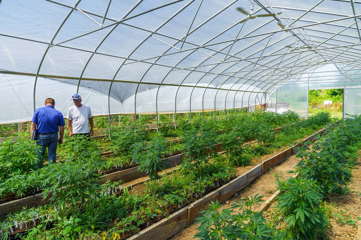 usdaRMA's tweet photo. Hemp offers new economic opportunities for America’s farmers, and we are pleased to offer coverage to hemp producers. https://t.co/2rj3zd3LgT https://t.co/LLXcO6wtir