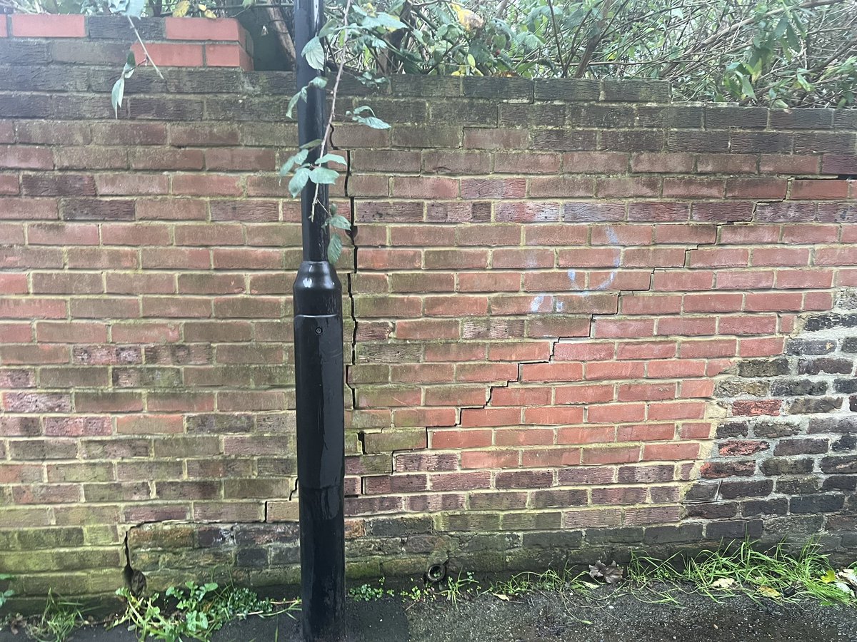 OvalRoad_NHW tweet media