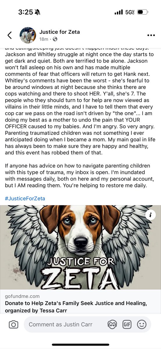 #justiceforzeta 

gofundme.com/f/help-zetas-f…