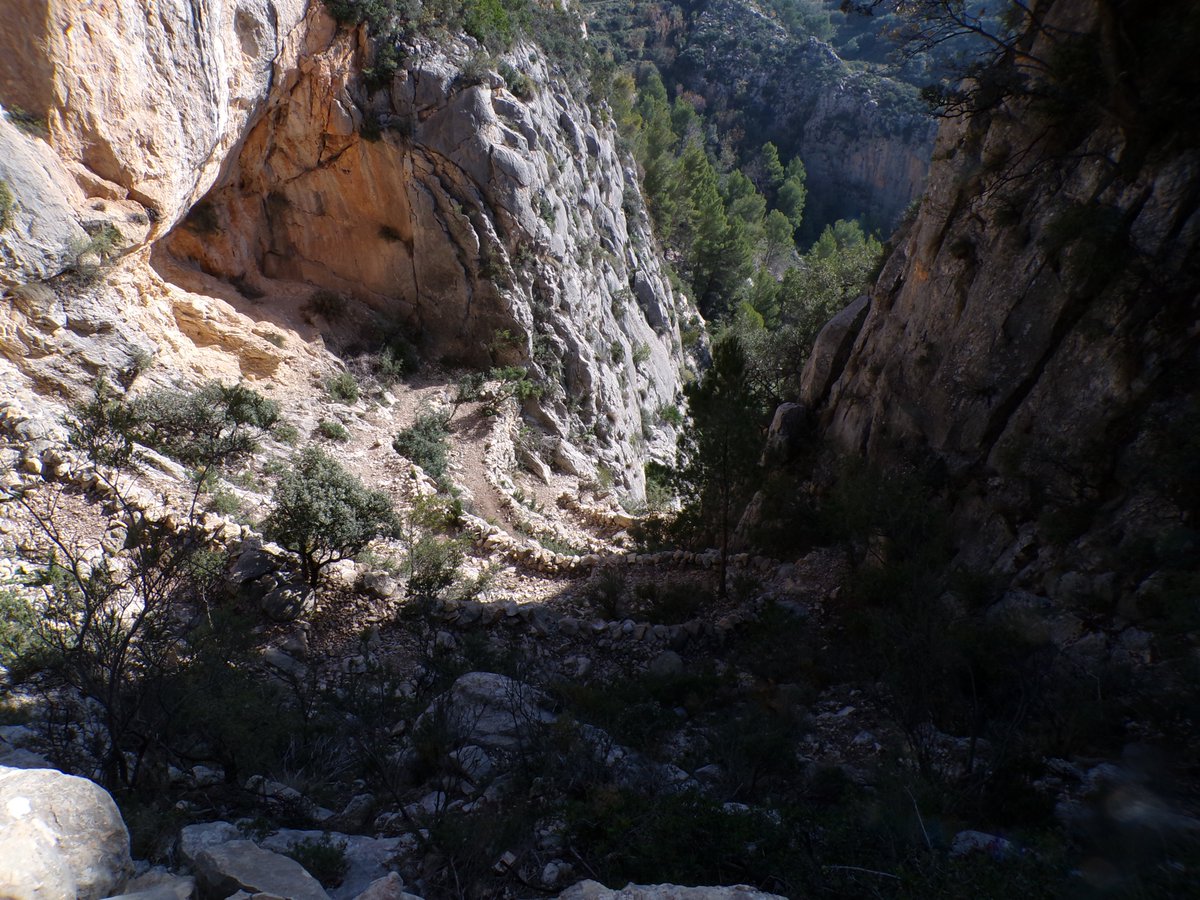 Jose C Gomez tweet media