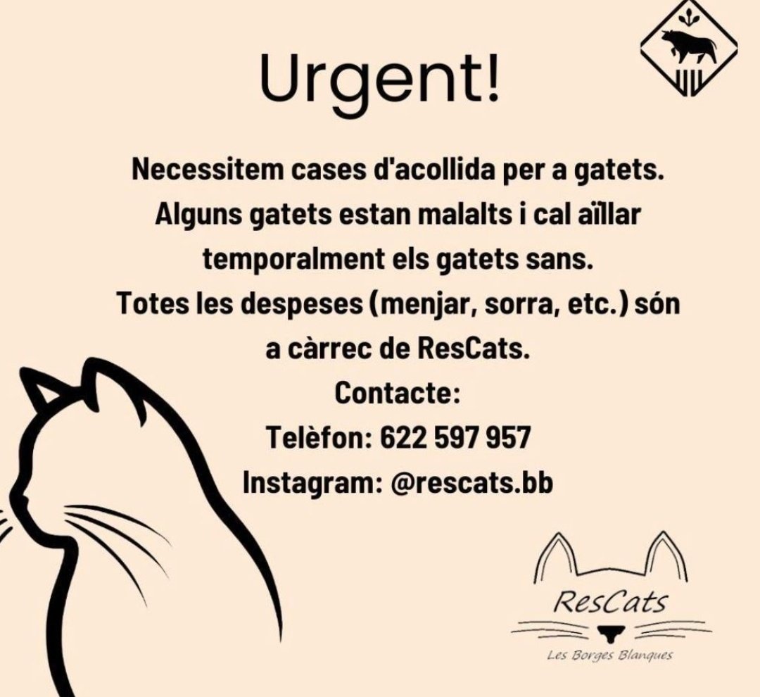 Erta2017's tweet photo. #XarxaBarcelonaAdopcions
#BorgesBlanques
🆘MUY URGENTE 🆘
NECESITAN CASAS DE ACOGIDA
para gatitos,en Borges Blanques, #Lleida💔
☎️622 597 957
Gastos a cargo de ResCats
https://t.co/mIUmjCILet https://t.co/ng5V4jgoZb