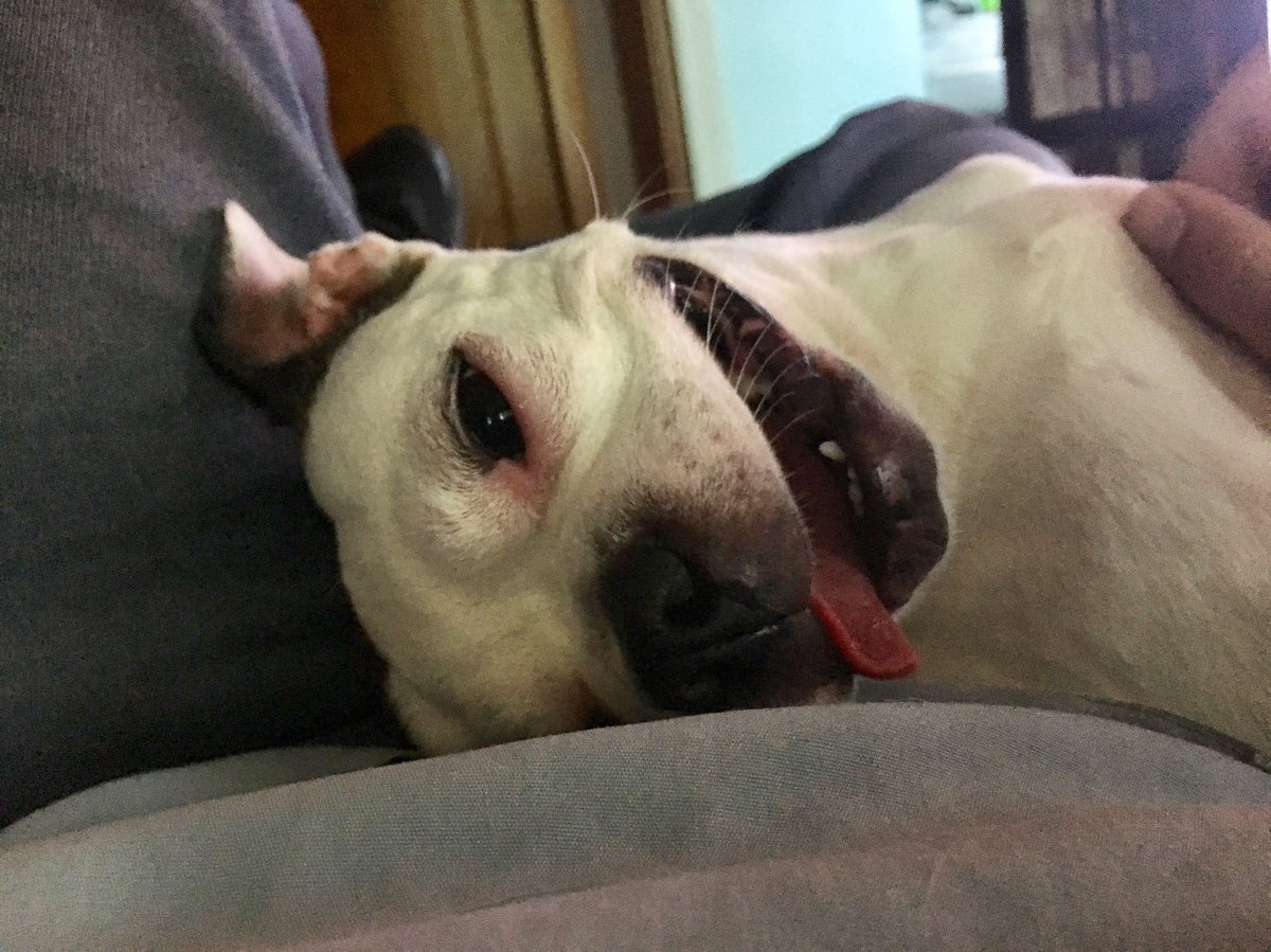 Oh sweet baby boy. Your dad, brother and I miss you so much already 💔