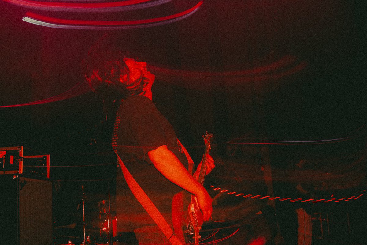 amandafotes tweet media