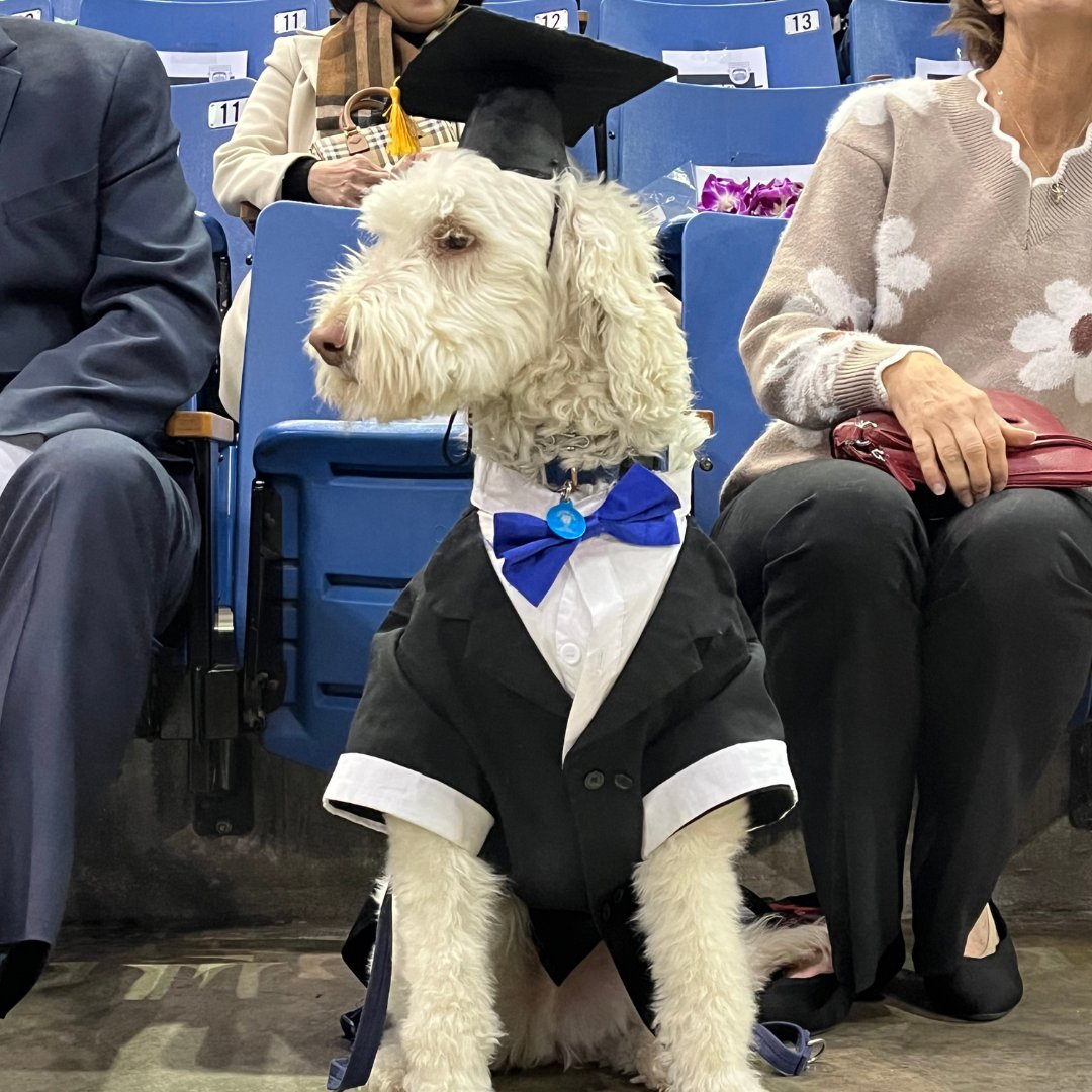 unevadareno's tweet image. Congratulations to the Wolf Pack graduates of the first Winter Commencement ceremony of the day! To the graduates of @unrcabnr, @unrengineering, @RSJNevada, @unrmed, @publichealthunr, @UNRScience, and @SocialWorkUNR, your accomplishments bring us so much #PackPride. Go forth and