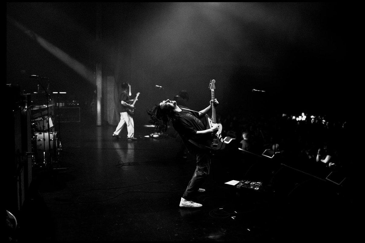 amandafotes tweet media