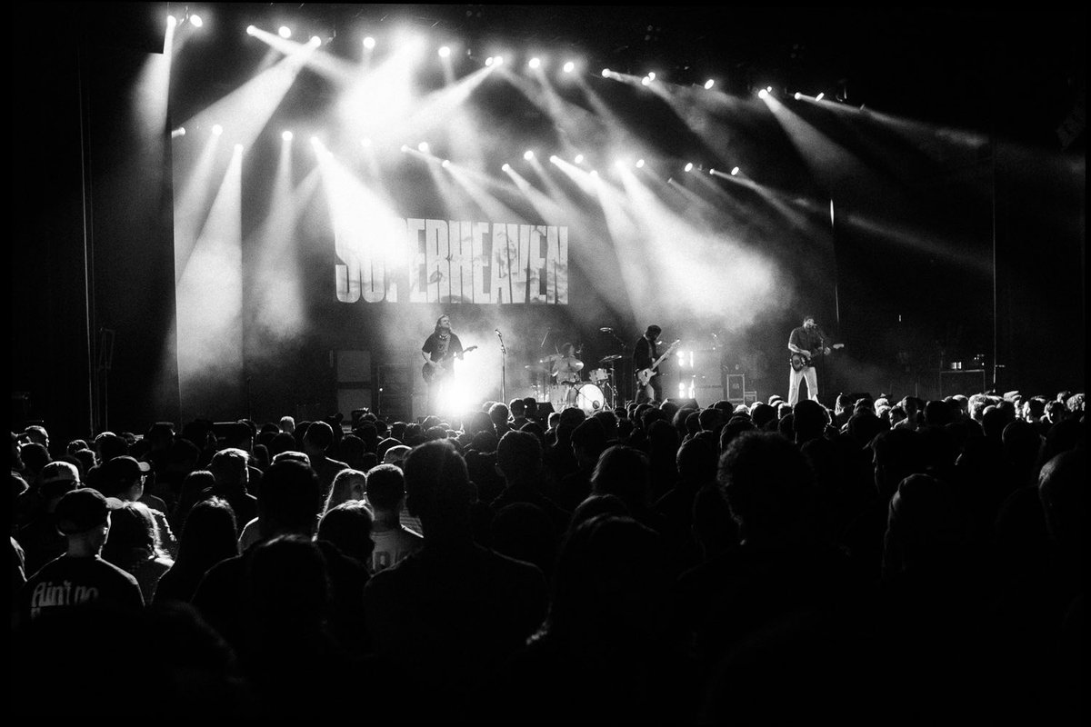 amandafotes tweet media