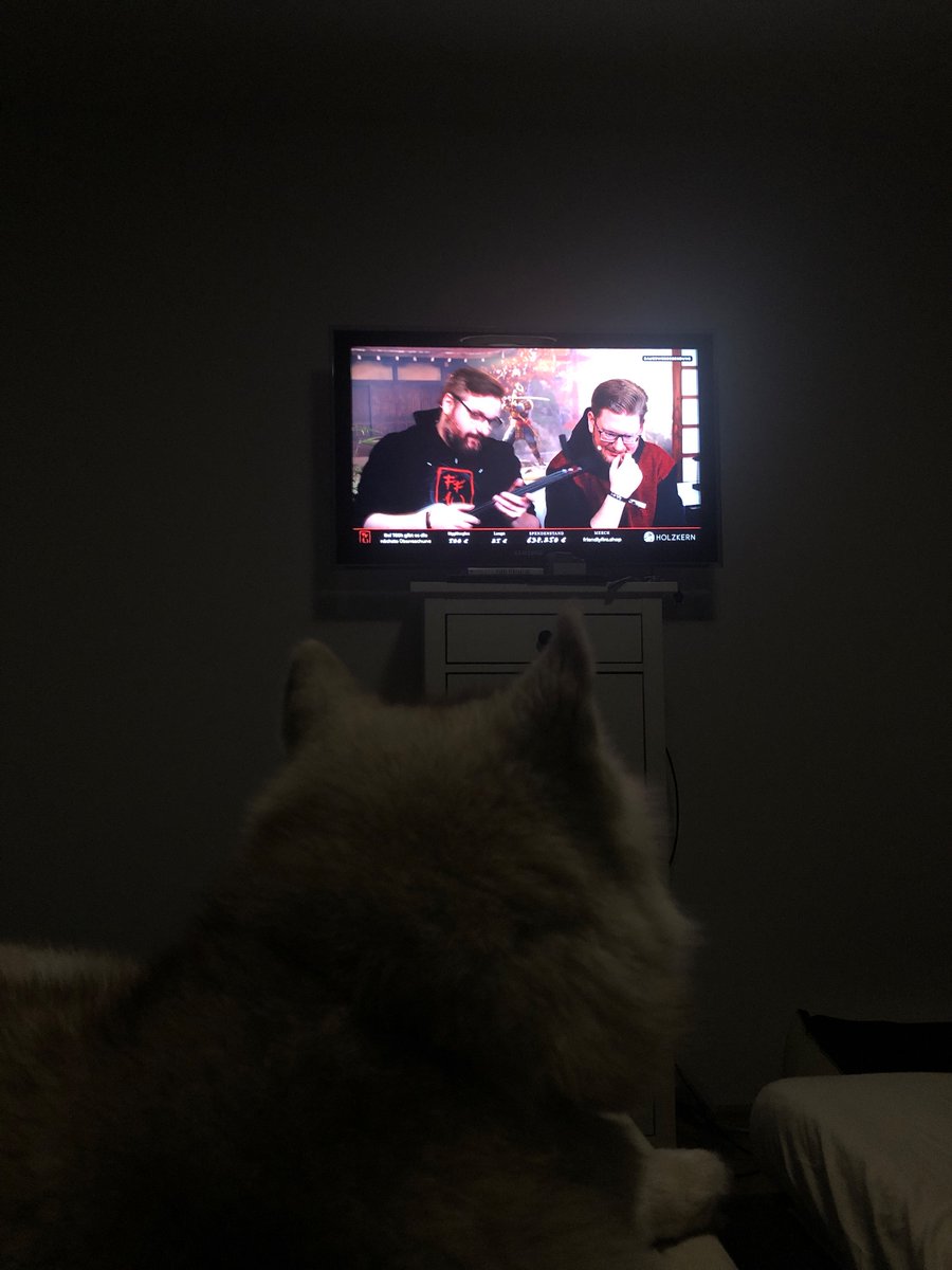 serasterra's tweet photo. Entspannt das beste Event des Jahres schauen #friendlyFire10
❤️ https://t.co/BaGgnuacbC