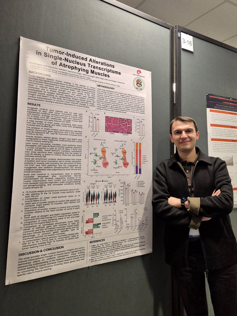 SMT302's tweet image. 📍 17th International Conference of the Society on Sarcopenia, Cachexia, &amp;amp; Wasting Disorders 

🎤 Poster Presentation: Tumor-induced alterations in single-nucleus transcriptome of atrophying muscle

#SCWD2024 #SCWDconference2024