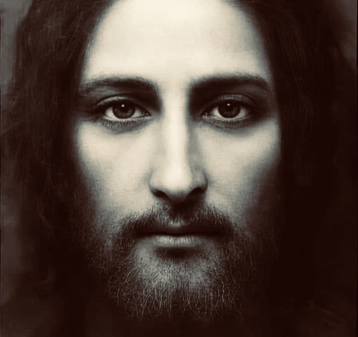 St. Padre Pio Quotes tweet media