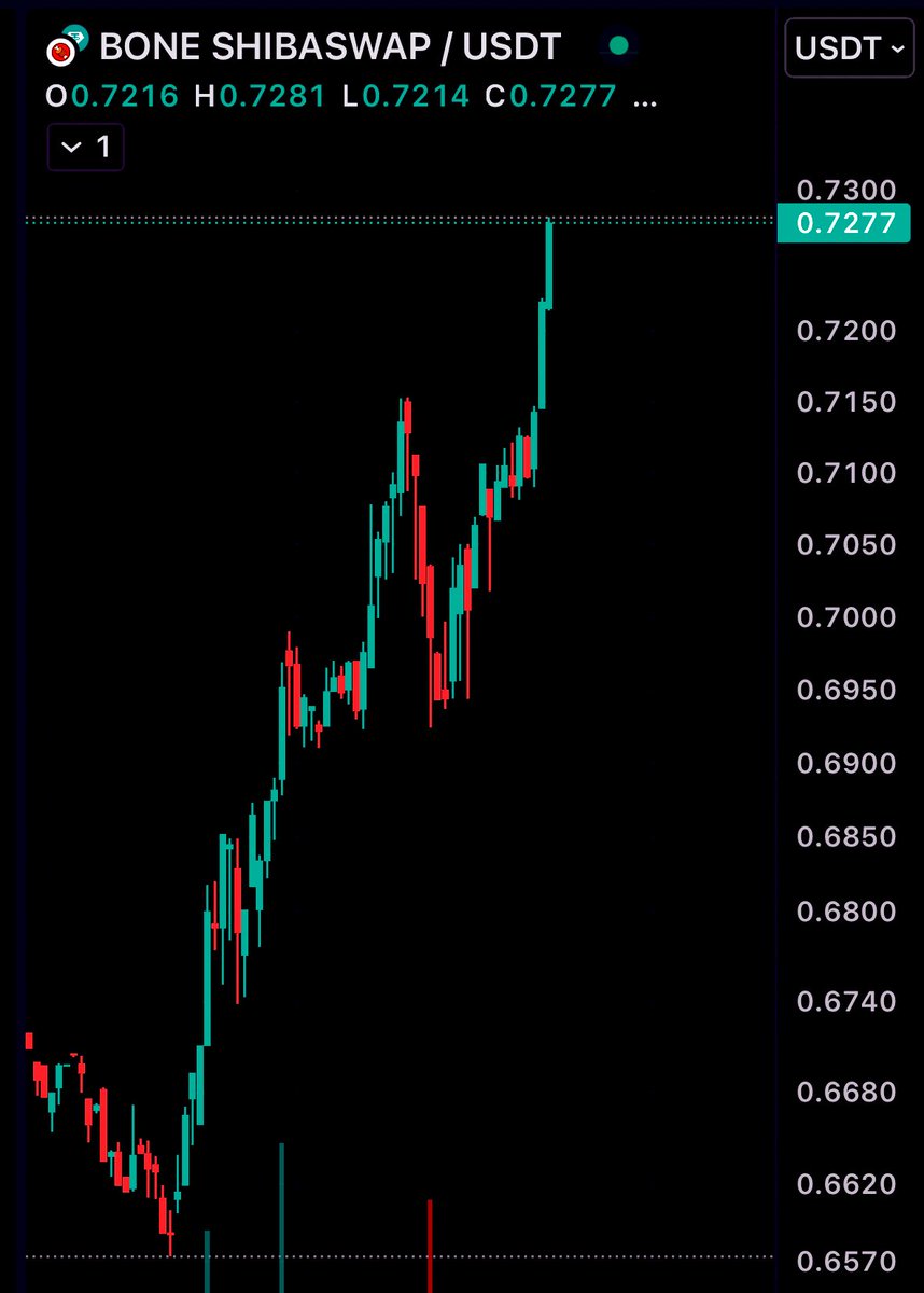 $BONE Update:

BONE’s been hitting the gym! 💪

#Shibarium #BONE