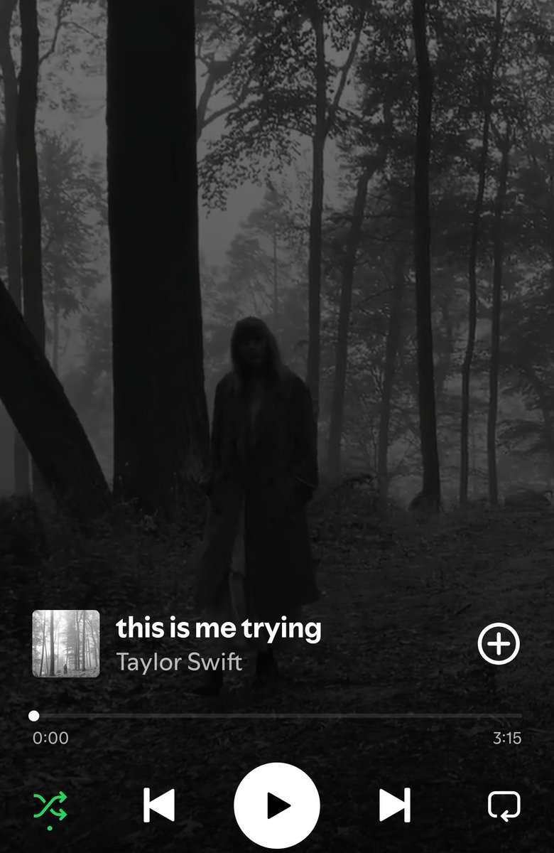 SheWrites94's tweet photo. I don't care what Spotify says by the way, this was my song of the year. I've been through so much since July and I've turned to many Taylor Swift songs for comfort. However, this is me trying has been the one that has resonated with me most ❤️ https://t.co/KeT9ZU79uY
