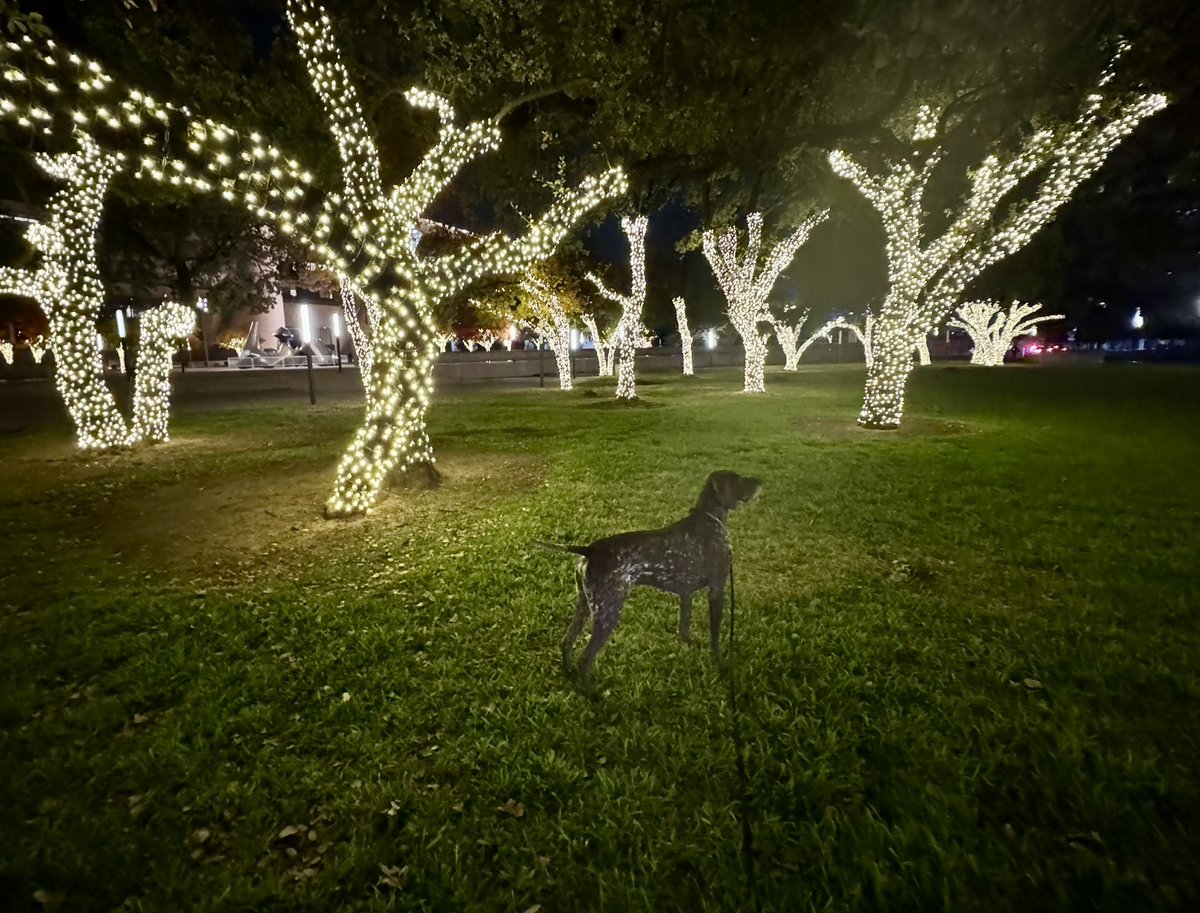 Christmas is coming!