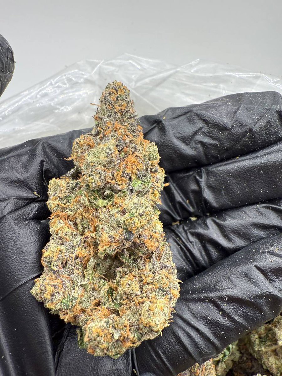 HighPriorityCo's tweet photo. Incredible Hulk 🏋️ https://t.co/451cbfvUv2