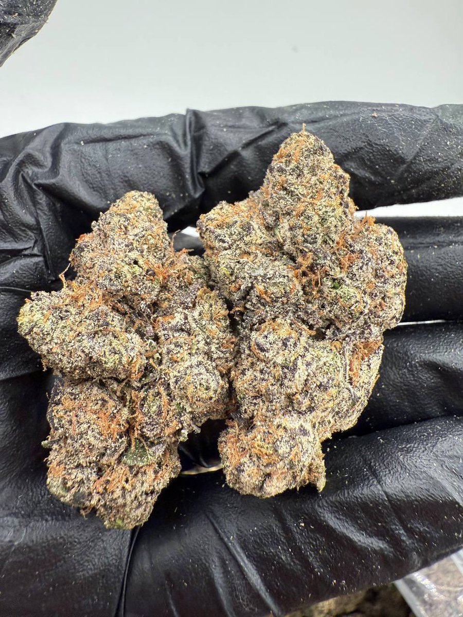 HighPriorityCo's tweet photo. Purple Rain ☔️ https://t.co/Qw0r7DWGtX