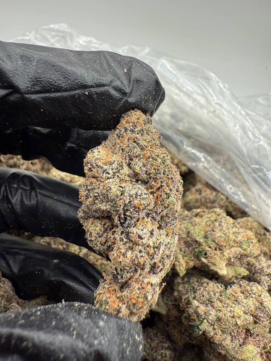 HighPriorityCo's tweet photo. Purple Rain ☔️ https://t.co/Qw0r7DWGtX