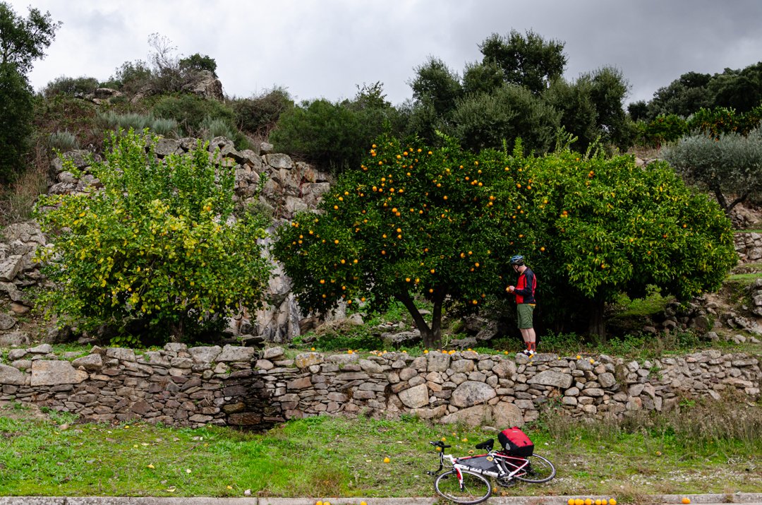 CyclingLodge's tweet photo. Some of the highlights included the Serra Estrela and The Torre, the highest point on mainland Portugal, and the Douro Valley. A few photos in case it's on your bike-it list...definitely recommend it!
#ciclismo #cycing #fietsen https://t.co/n2cu2KkNFJ