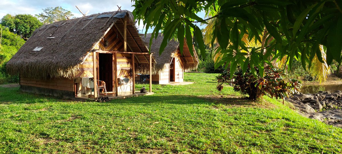 Carla Desain tweet media