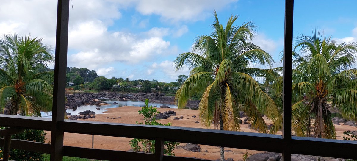 Carla Desain tweet media