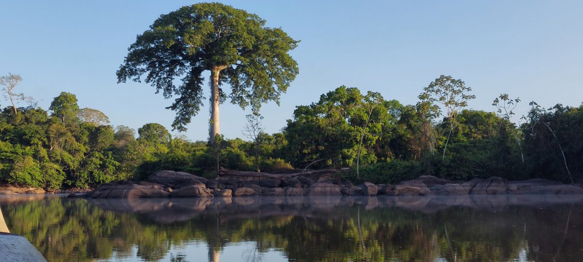 Carla Desain tweet media