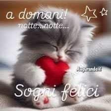 RITABIANCHi56 tweet media