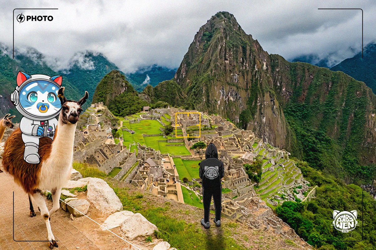 BabyWen CTO tweet media