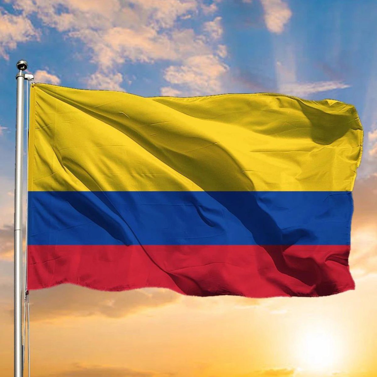 VickyDavilaH's tweet photo. Esta es la única bandera que conozco y reconozco… https://t.co/70fqGe75bp