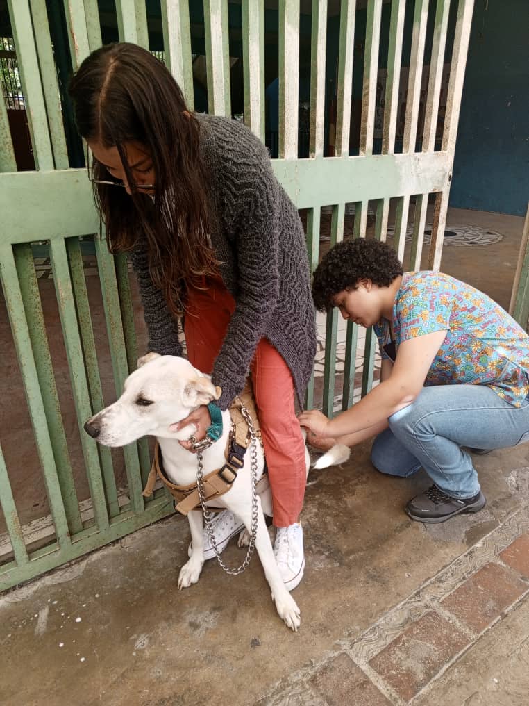 etrejo2017's tweet photo. #07Dic #LosSalias con orientaciones del Gob @HectoRodriguez a través de SecProtección Animal @maigualidav en coord. con el Sistema de Misiones de los Salias con @SomosNevado nos acercamos a la OPS y se atendieron *61* 🐶😸 con Jornada Gratuita Veterinaria https://t.co/7UZhxPtAGW