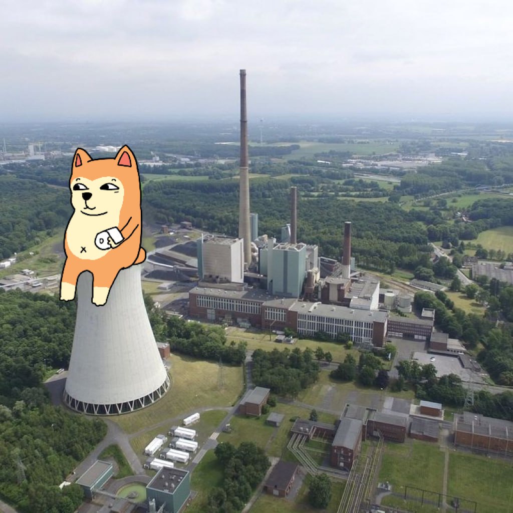 <a href="/0xSweep/">Sweep</a> If I live, I live like a meme.

Congratulations, you're part of #crypto culture.

I hear a #DOGE performance and buy #doggo. Because I realize the power is in the dogs

<a href="/doggoctoeth/">DOGGO</a>